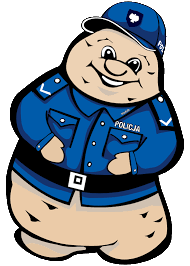 pyrek