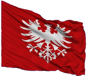 flaga powstanie m