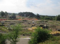 IMG 0774
