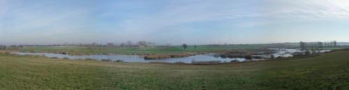 Panorama stawów rybnych
